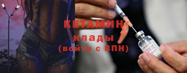 прущие грибы Елизово