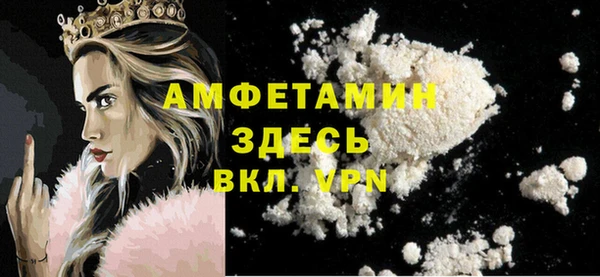 прущие грибы Елизово