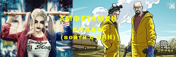 прущие грибы Елизово