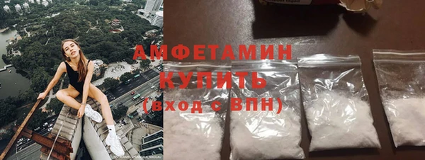 прущие грибы Елизово
