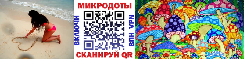Купить закладки  Вихоревка  Псилоцибиновые грибы Cubensis 